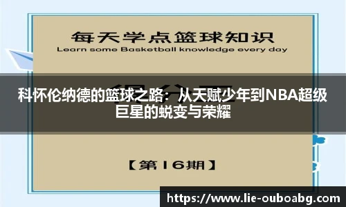 欧博